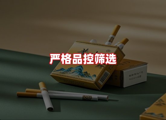 专业团队